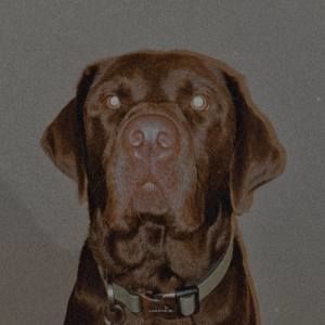 Meet your Posher, Sonora